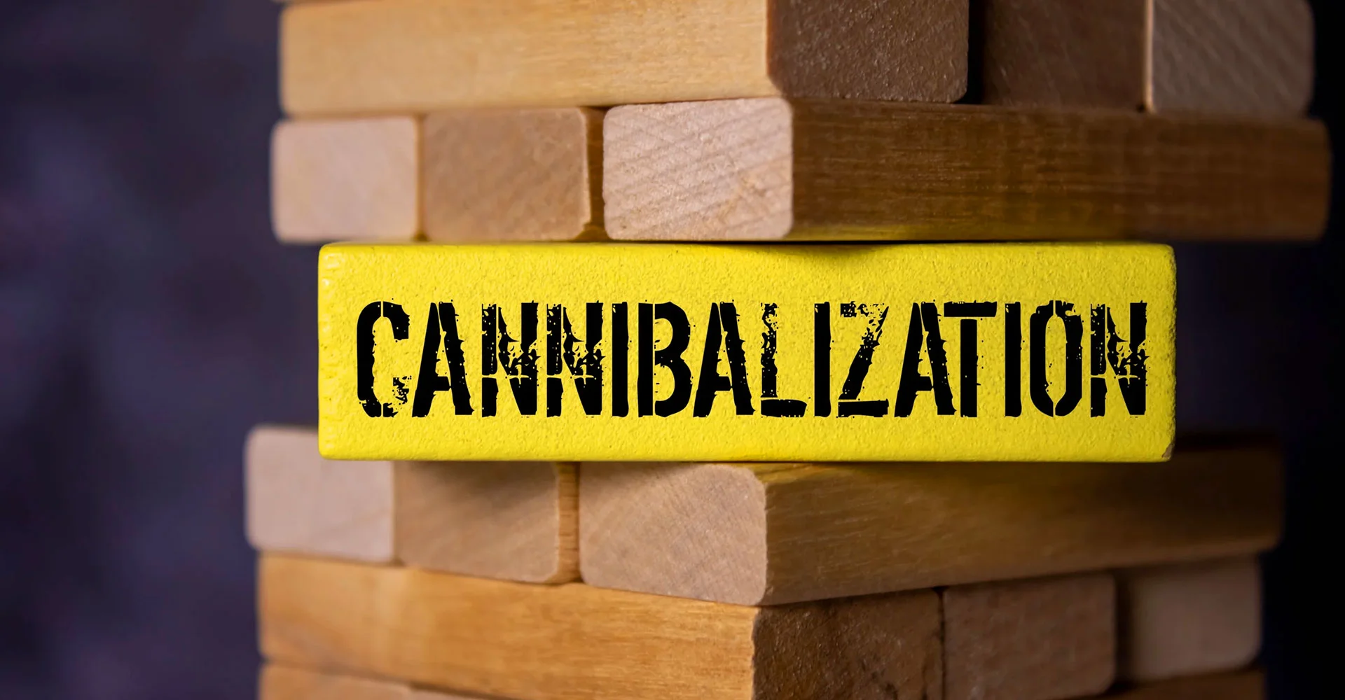 Impact de la cannibalisation SEO sur Google